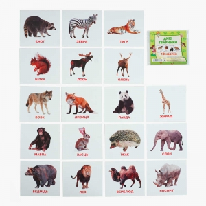 Купить Картки міні "Дикі тварини" 9789669753670 "Jumbi" оптом с доставкой